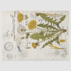 Papel De Seda Folha de Tecidos de Decoupage Dandelion