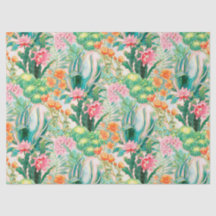 Folha do Palm Springs