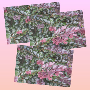 Papel De Seda Folhagem Verde Roxa Fotográfica Botânica