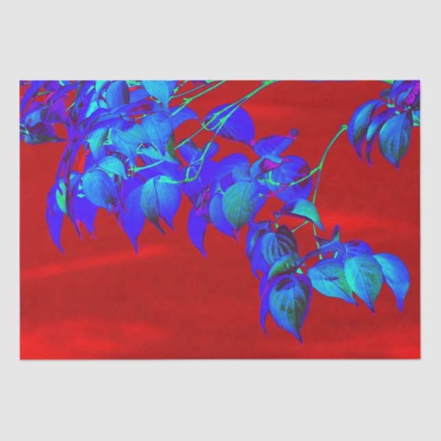 Papel De Seda Folhas Azuis do Céu Vermelho (Frente )