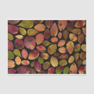 Papel De Seda Folhas de Bordo Elegantes Padrão de Outono