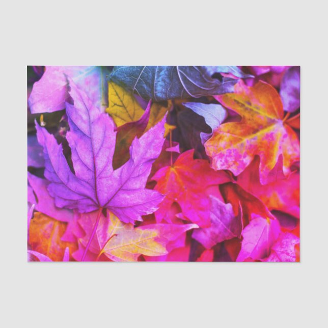 Papel De Seda Folhas de caroço de outono coloridas (Frente )