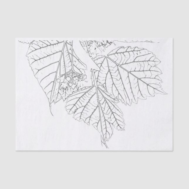 Papel De Seda Folhas de madeira (Frente )