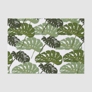 Papel De Seda Folhas de Monstera Tropical Verde