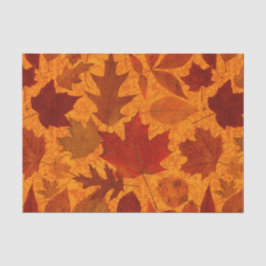 Papel De Seda Folhas de outono alaranjadas