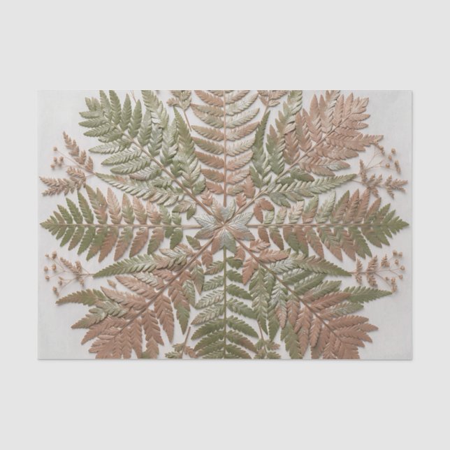 Papel De Seda Folhas de samambaia verde cobre prensado botânico (Frente )