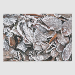 PAPEL DE SEDA FOLHAS DO INVERNO