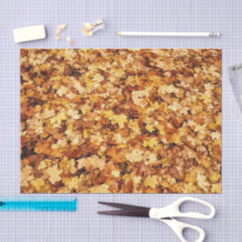 Papel De Seda Folhas Douradas de carapaça amarela