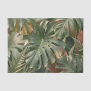 Papel De Seda Folhas Luxuriantes de Monstera Samambaias Selva Tr