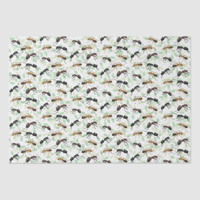 Papel De Seda Formigas Insetam Insetos Criaturas Rastreadas (Frente )