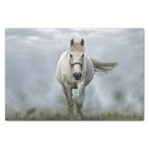 Papel De Seda Foto da Nuvem de Cavalo Branco bonito