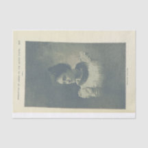 Foto da princesa, desvinculação