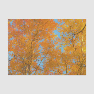 Papel De Seda Foto de Árvores Amarelas bonito