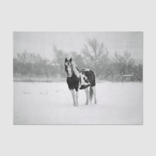 Papel De Seda Foto de Neve Preta e Branca