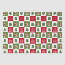 Foto de Pet Grátis Árvore Vermelha de Natal Verde