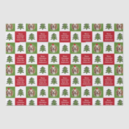 Papel De Seda Foto de Pet Grátis Árvore Vermelha de Natal Verde