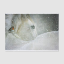 Foto de um Cavalo Branco e Pássaro no inverno