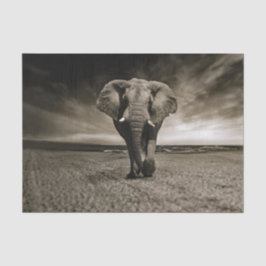 Papel De Seda Foto do Elefante Bull Wildlife