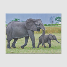 Papel De Seda Foto do vitelo do elefante selvagem