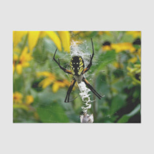 Papel De Seda Foto fantástica - Aranha Orb na Web