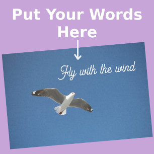 Papel De Seda Foto Inspiração Azul da Cinza Branca de Seagull