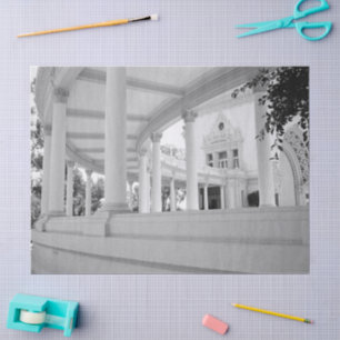 Papel De Seda Foto preto e branco da arquitetura das colunas do
