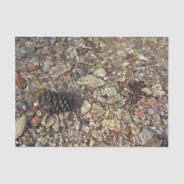 Papel De Seda Fotografia natural de Taylor Creek (Frente )