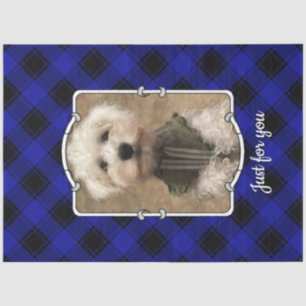 Papel De Seda Fotografia personalizada com legenda Pet Blue & Bl