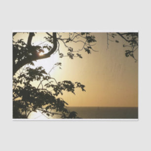 Papel De Seda Fotografia Tropical II através do Sol