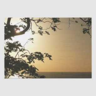 Papel De Seda Fotografia Tropical II através do Sol