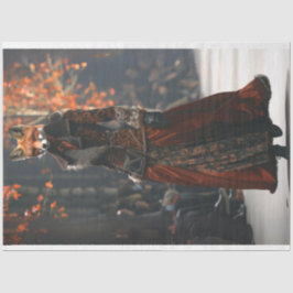 Papel De Seda Fox Runway Fashion Show Decoupage Tissue Paper