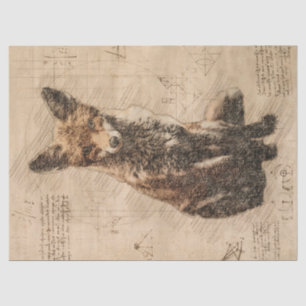 Papel De Seda Fox Wildlife Retro Drake