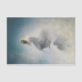 Papel De Seda Frage e die Sterne