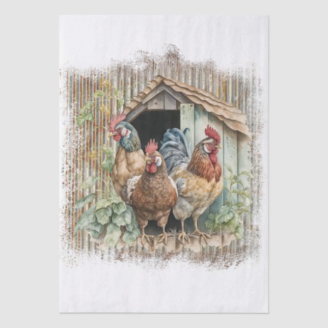 Papel De Seda Frangos da Fazenda da Primavera (Frente )