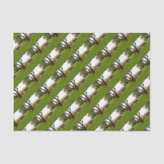 PAPEL DE SEDA FRASCOS DE CAVALO CURTO