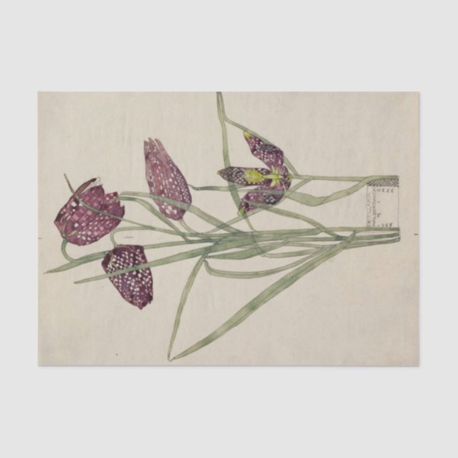 Papel De Seda Fritillaria por Charles Mackintosh (Frente )