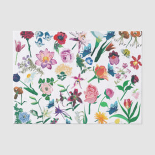 Papel De Seda Fundo Branco das Flores de primavera Coloridas
