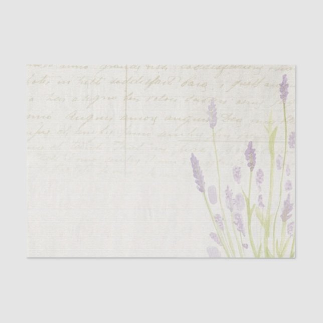Papel De Seda Fundo do bege do Script Flores de Lavanda Pálida (Frente )