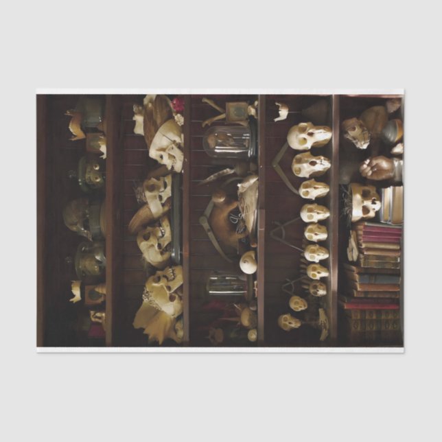 Papel De Seda Gabinete de Ensino de Curiosidades (Frente )