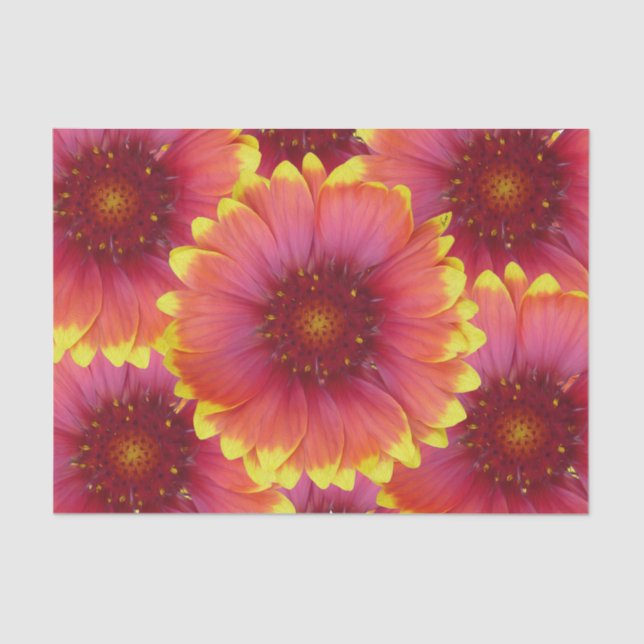 Papel De Seda Gaillardia 1 (Frente )