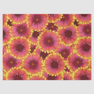 Papel De Seda Gaillardia - Padrão Sem Costura