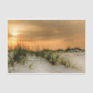 Papel De Seda Gaivotas no nascer do sol