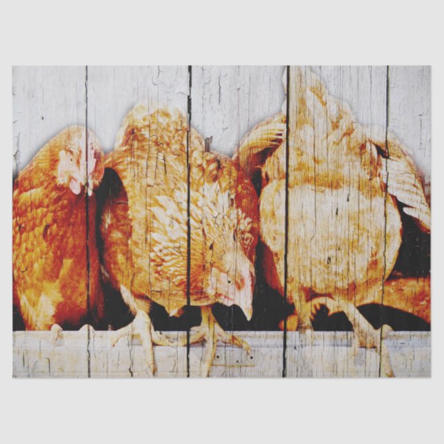 Papel De Seda Galinhas (Frente )