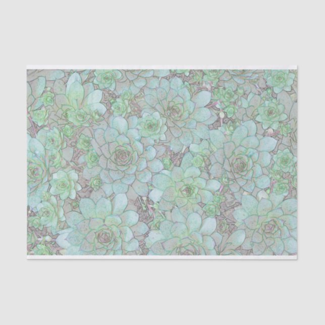 Papel De Seda Galinhas E Pintinhos (Frente )