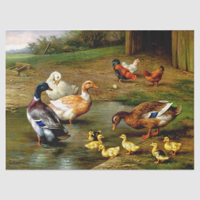 Papel De Seda Galinhas, Patos E Patos Na Fazenda (Frente )