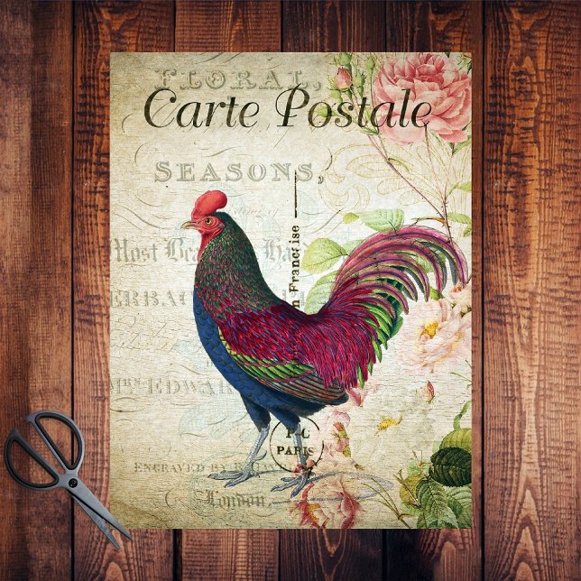 Papel De Seda Galo Colorido País Francês  (Criador carregado)