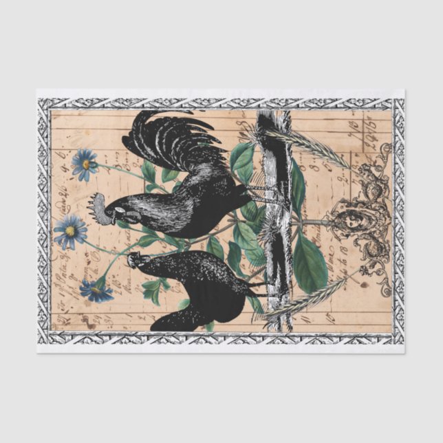 Papel De Seda Galo da casa de campo (Frente )