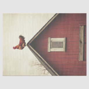 Papel De Seda Galo na página de dissociação do telhado