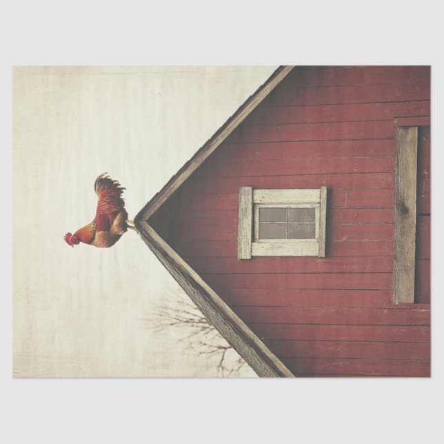 Papel De Seda Galo na página de dissociação do telhado (Frente )