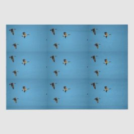 Papel De Seda Ganso canadense em voo